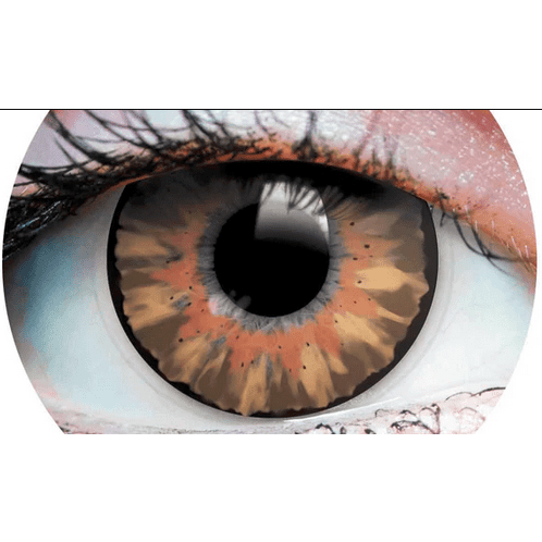 DELIGHTFUL HONEY CONTACT LENS